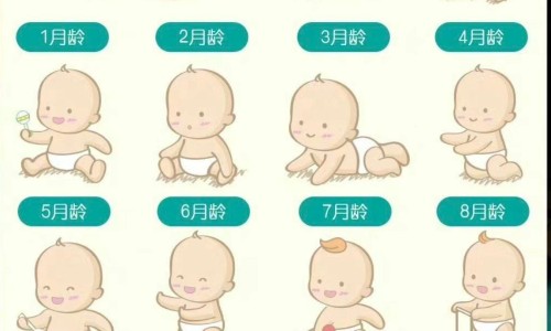 人参五味子颗粒能治失眠吗-人参五味子颗粒是开水冲吗网 | 人参五味子颗粒是开水冲吗能喝吗,人参五味子颗粒怎么服用